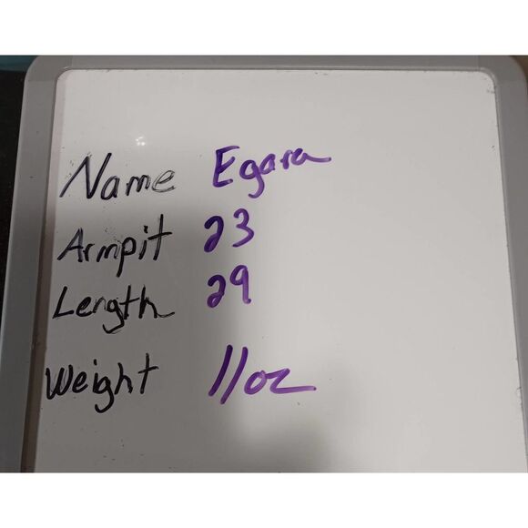 Egara Shirt‎ Men's Extra Large Office Classic - Picture 6 of 6